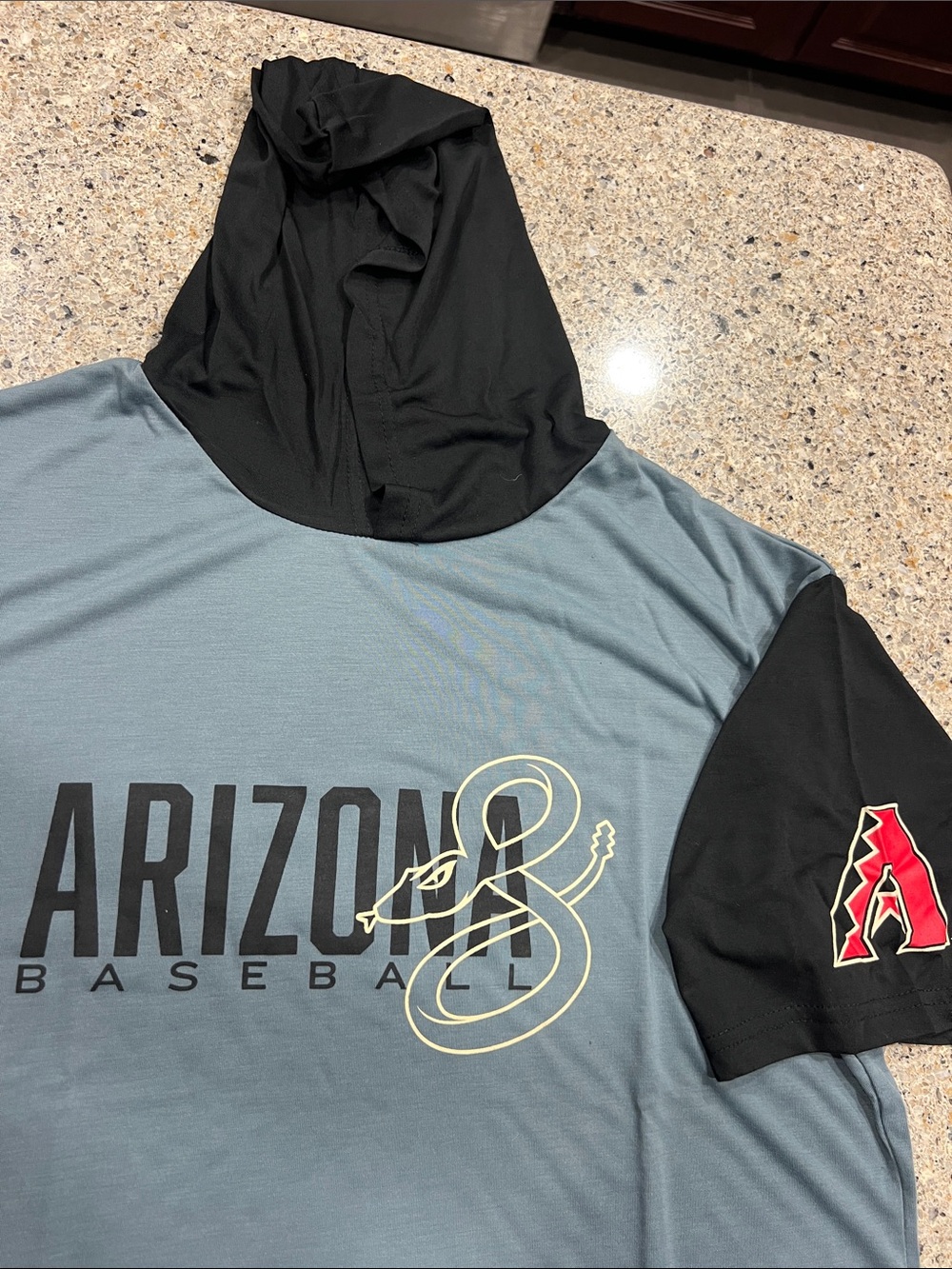 NWOT Arizona Baseball men’s Hooded Short Sleeve Tee - L Black & Slate z24